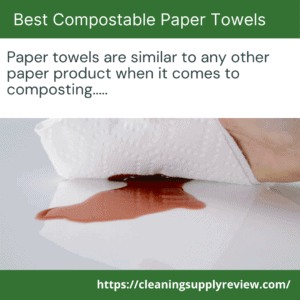 Best Compostable Paper Towels