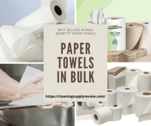 Paper Towels in Bulk (1)