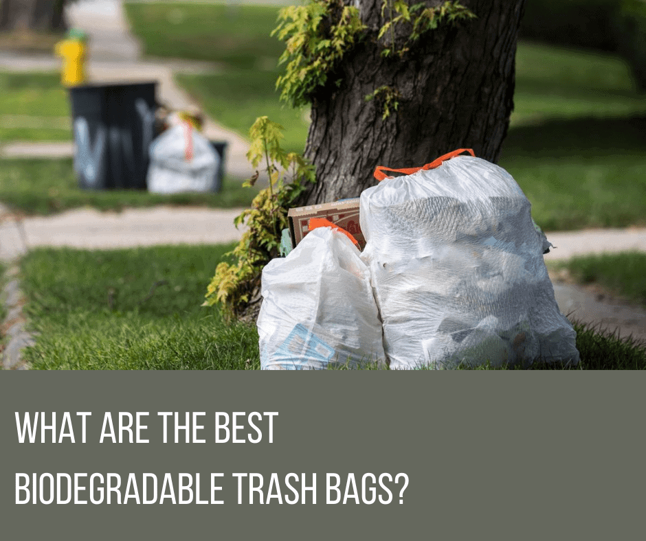 What are the best biodegradable trash bags_
