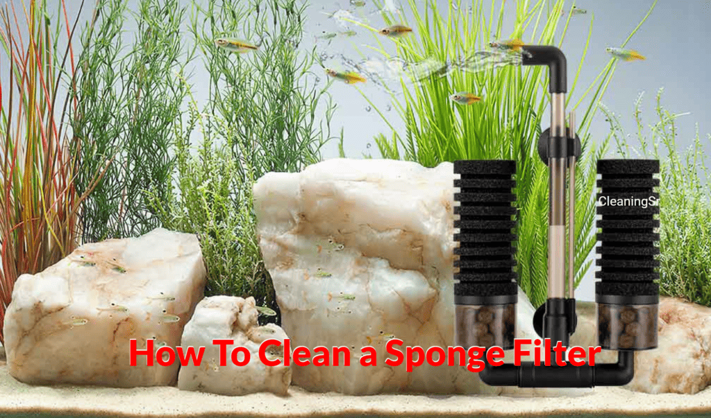 How To Clean a Sponge Filter